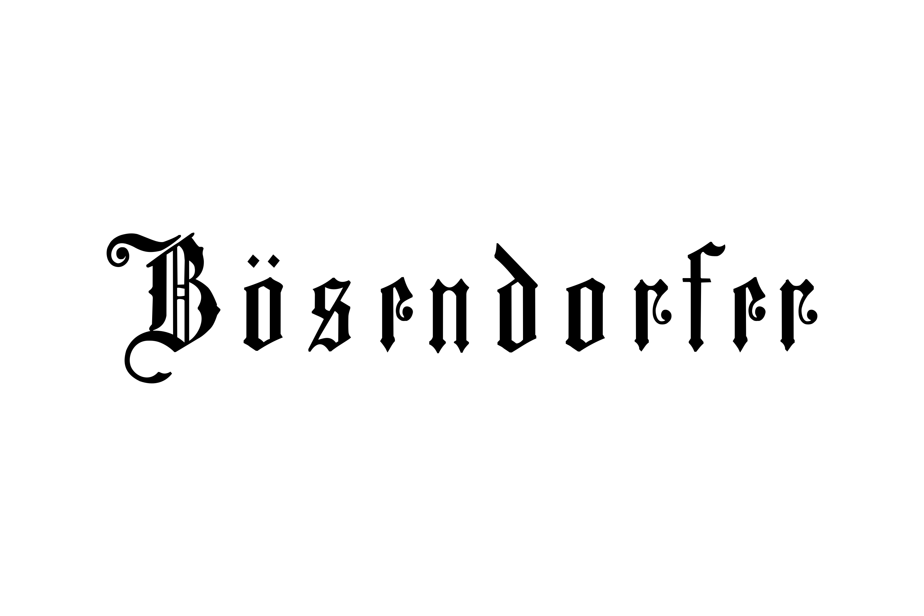 Bösendorfer Logo