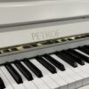 Petrof - Classic